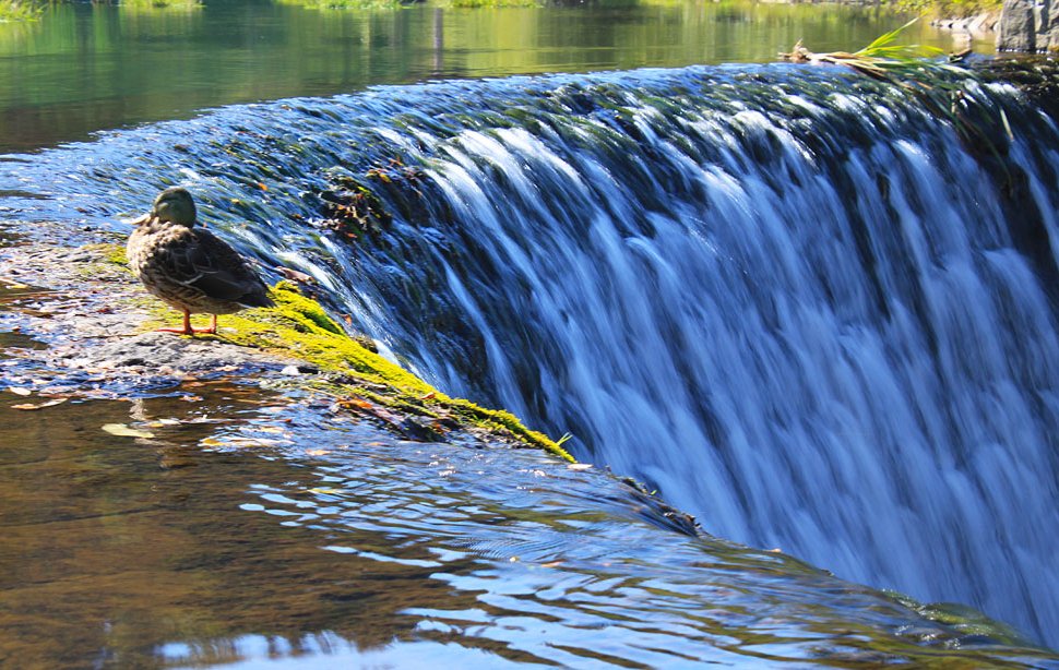 The waterfall in Wisła